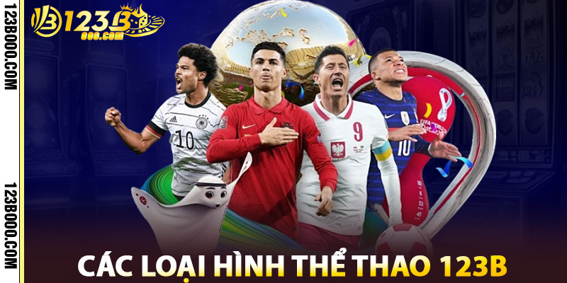 Các Loại Hình Thể Thao 123b